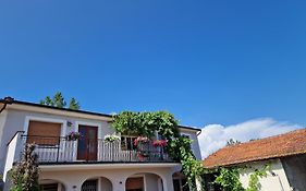 Wine House