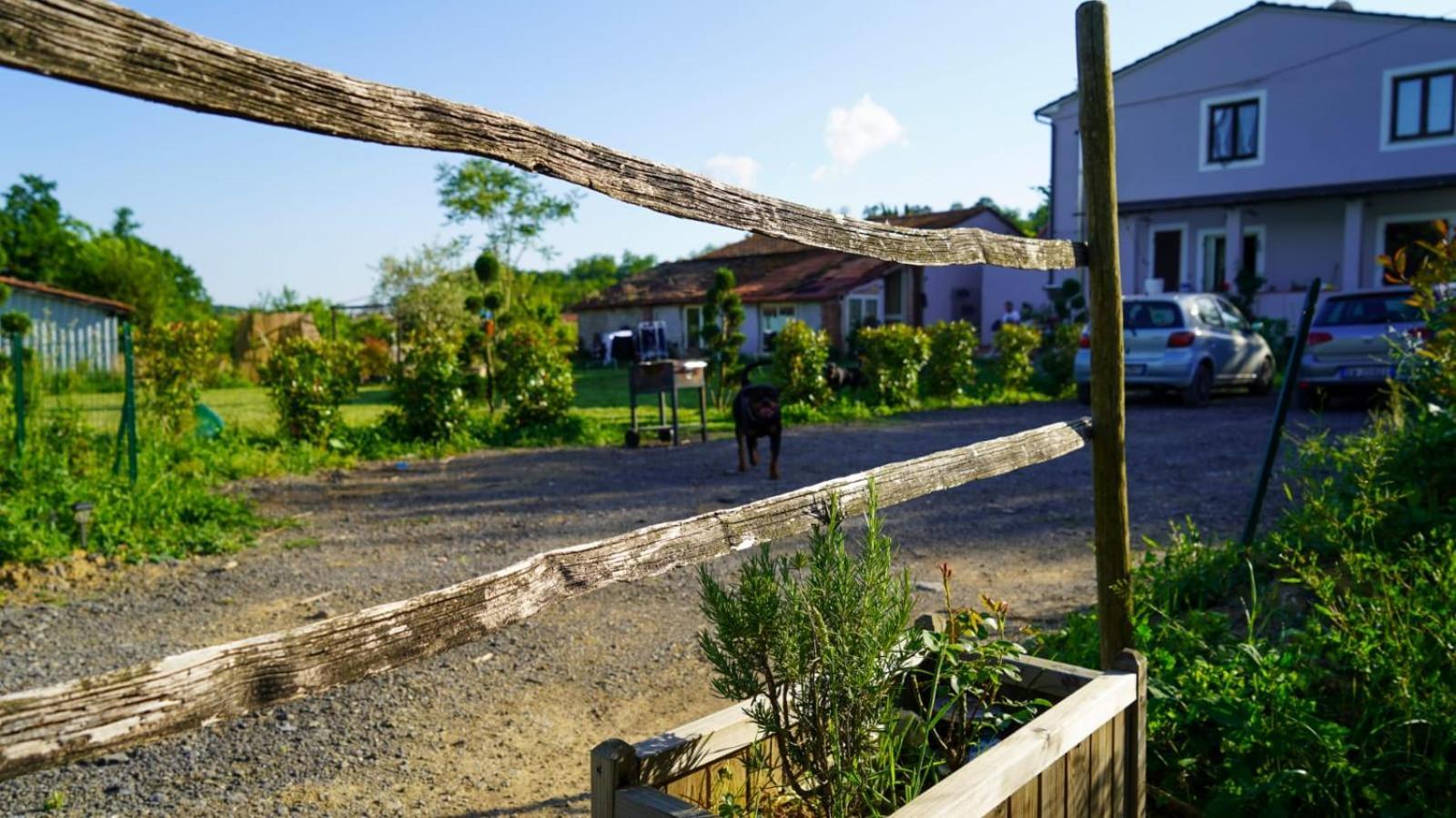 Bed and Breakfast Wine House Capannori Exterior foto