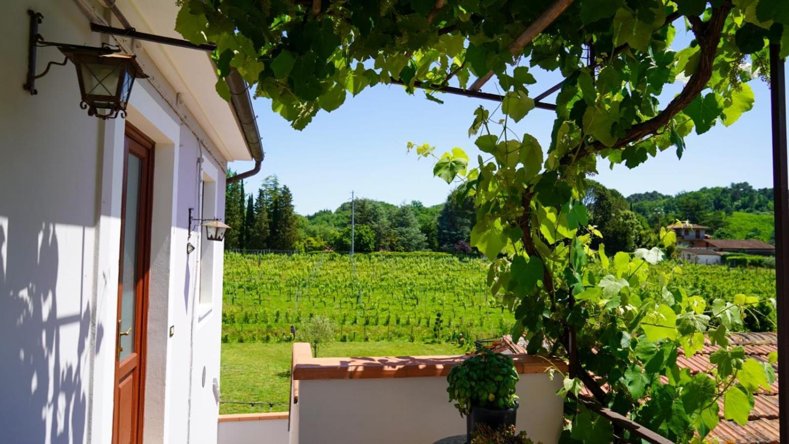 Bed and Breakfast Wine House Capannori Exterior foto