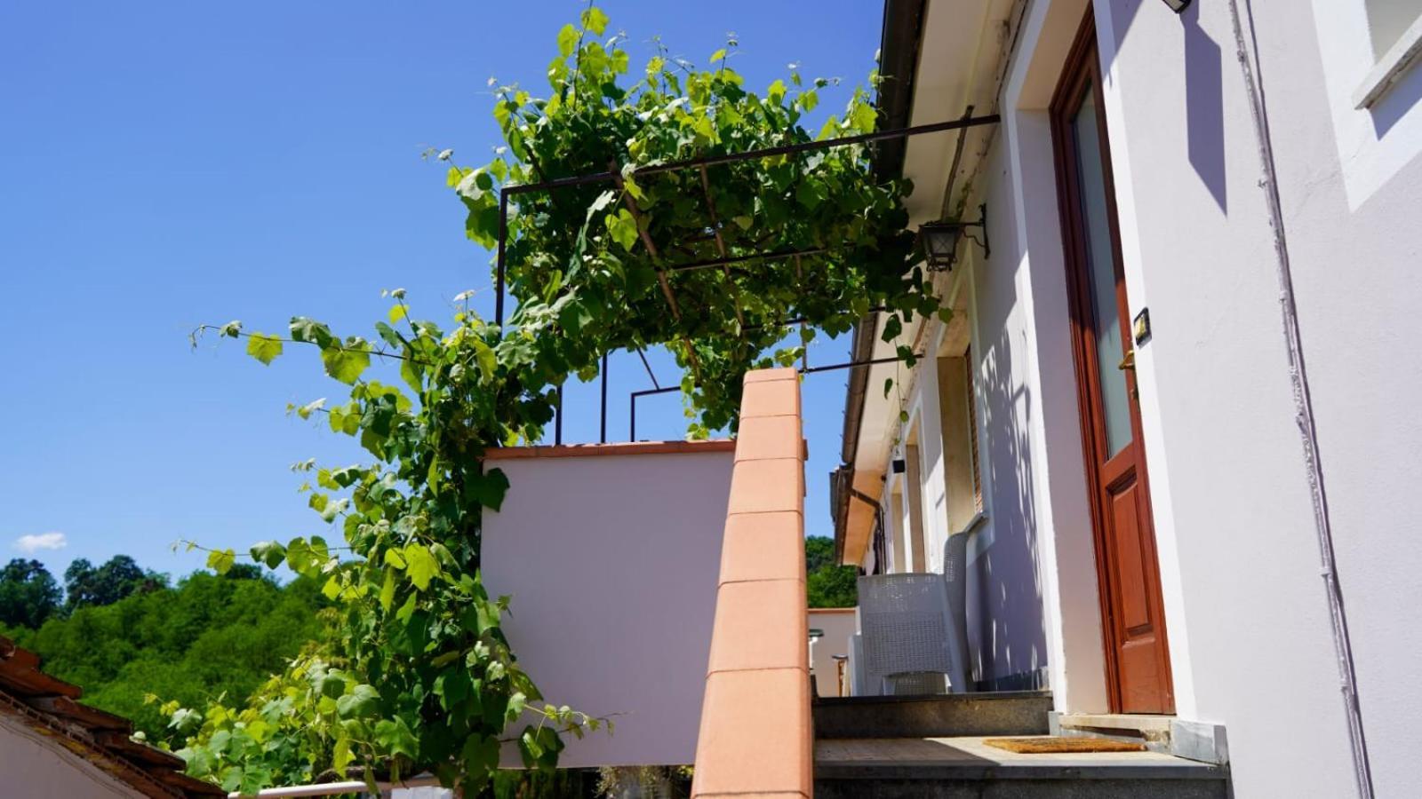 Bed and Breakfast Wine House Capannori Exterior foto