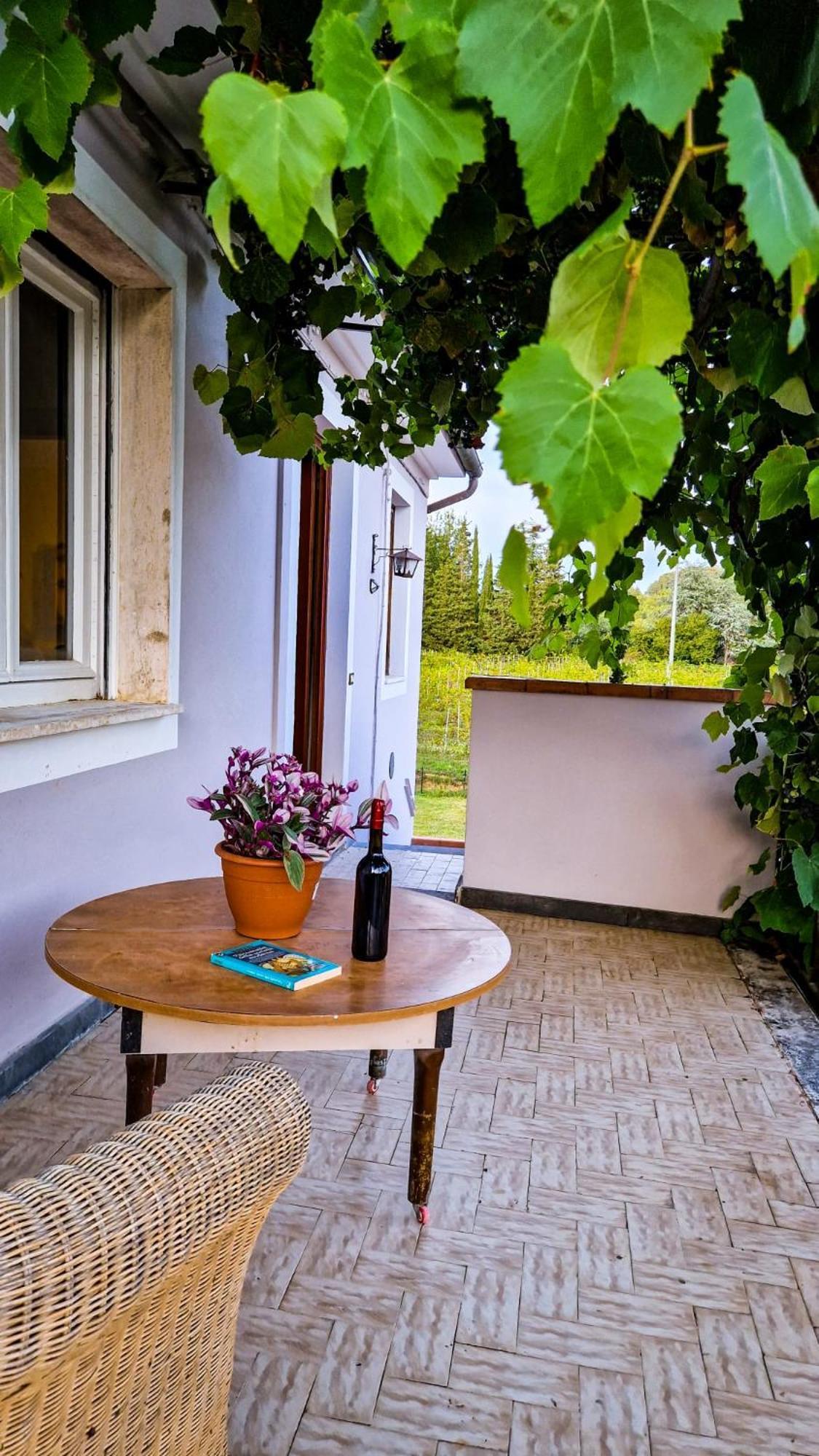 Bed and Breakfast Wine House Capannori Exterior foto