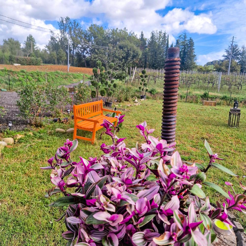 Bed and Breakfast Wine House Capannori Exterior foto