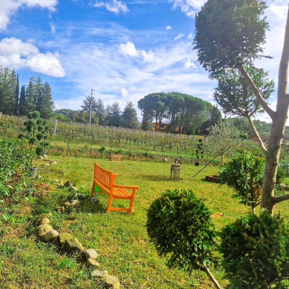 Bed and Breakfast Wine House Capannori Exterior foto