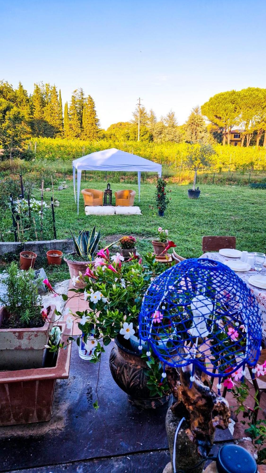 Bed and Breakfast Wine House Capannori Exterior foto